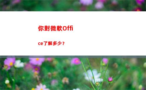 你對微軟Office了解多少？(你對微軟選拔人才過程有何評價)