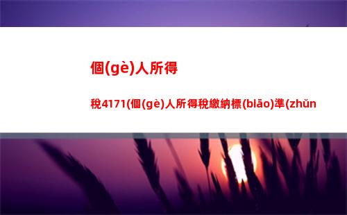 個(gè)人所得稅ap(個(gè)人所得稅app下載退稅)