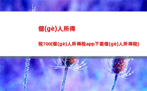 個(gè)人所得稅2029(個(gè)人所得稅20%適用范圍)