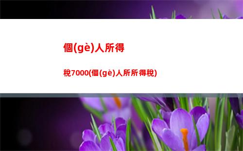 個(gè)人所得稅app偶然所得(個(gè)人所得稅 偶然所得)