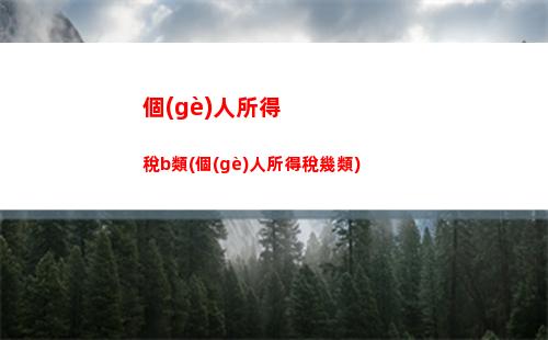 個(gè)人所得稅atp(個(gè)人所得稅app下載)