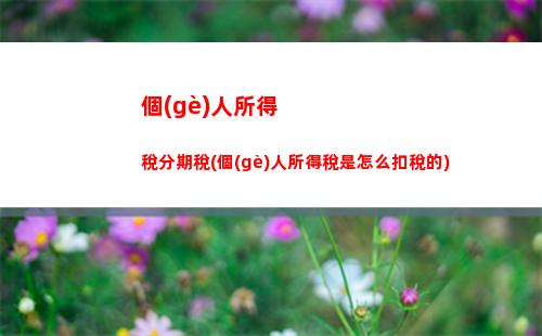 個(gè)人所得稅富人稅(個(gè)人所得稅扣稅標(biāo)準(zhǔn)2022)