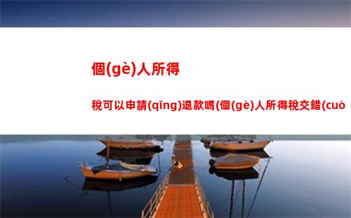 個(gè)人所得稅削減(若實(shí)行削減個(gè)人所得稅率和增加實(shí)際)