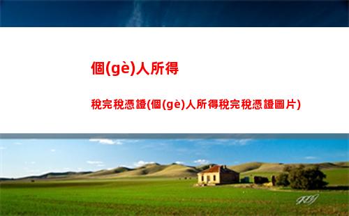 個(gè)人所得稅腿稅(個(gè)人所得稅怎么腿稅)