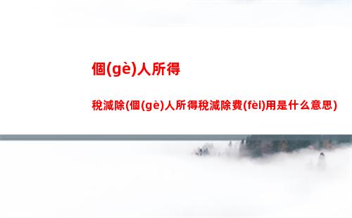 個(gè)人所得稅講稿(怎樣退稅個(gè)人所得稅)