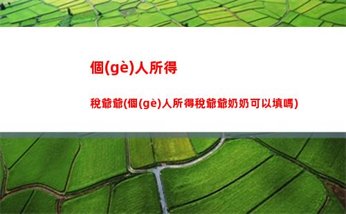 個(gè)人所得稅安丘
