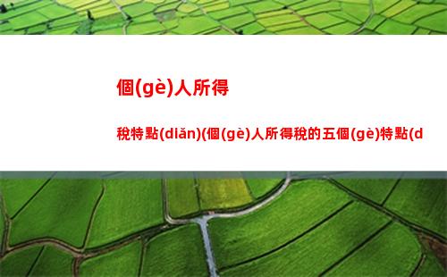 個(gè)人所得稅申報(bào)軟件下載(個(gè)人所得稅申報(bào)軟件下載官網(wǎng))