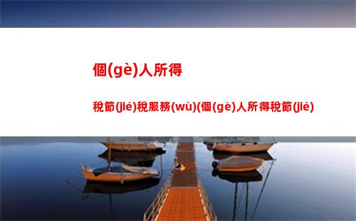 個(gè)人所得稅紅字(個(gè)人所得稅紅字是什么意思)