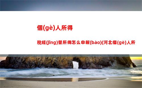 年薪20萬的個(gè)人所得稅(年薪20萬個(gè)人所得稅怎么算)