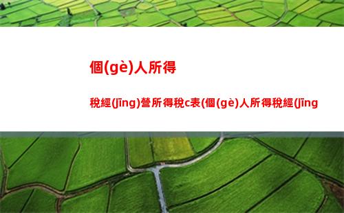 個(gè)人所得稅匯算年度申報(bào)(個(gè)人所得稅綜合年度匯算)