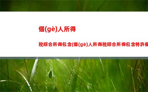 個(gè)人所得稅越少(個(gè)人所得稅退的越多越好嗎)