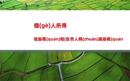 個(gè)人所得稅核定(個(gè)人所得稅核定應(yīng)稅所得率表)