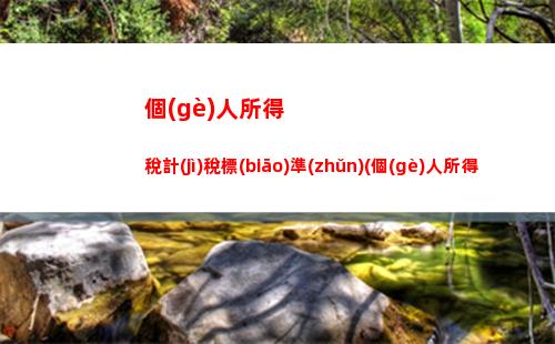 個(gè)人所得稅匯算單位申報(bào)(單位個(gè)人所得稅年度匯算怎么申報(bào))