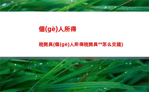 個(gè)人所得稅所得的種類(個(gè)人所得稅綜合所得種類)