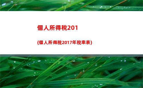 個人所得稅a表和b表(個人所得稅納稅申報表a表)