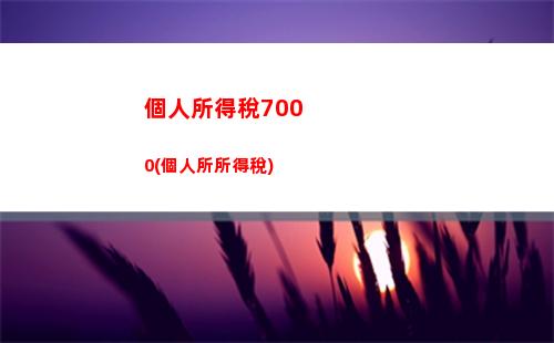 個人所得稅app偶然所得(個人所得稅 偶然所得)