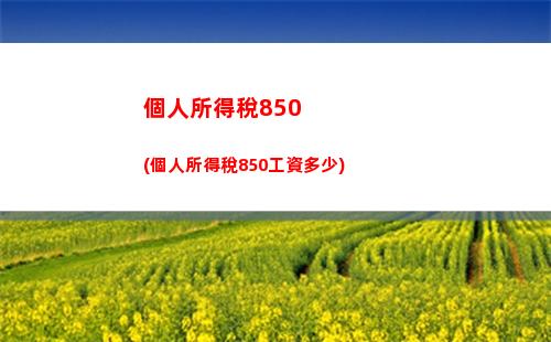 個人所得稅app應交所得稅(個人所得稅app下載2022版退稅)