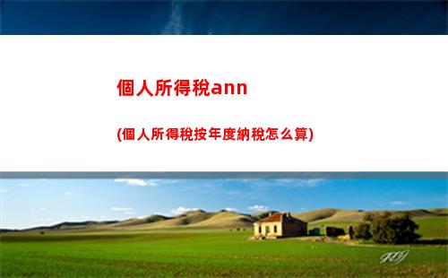 個人所得稅app下載(個人所得稅app下載退稅怎么操作)