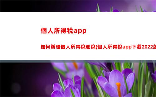 個人所得稅app退稅查詢(個人所得稅APP退稅查詢名下所有銀行卡的流水嘛)