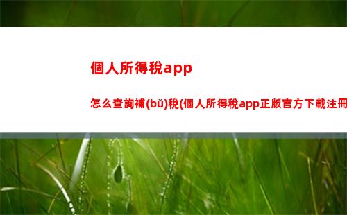 個人所得稅application(個人所得稅app里查不到工資明細(xì))