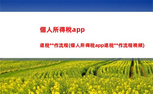 個人所得稅app綜合所得(個人所得稅app綜合所得年度自行申報)