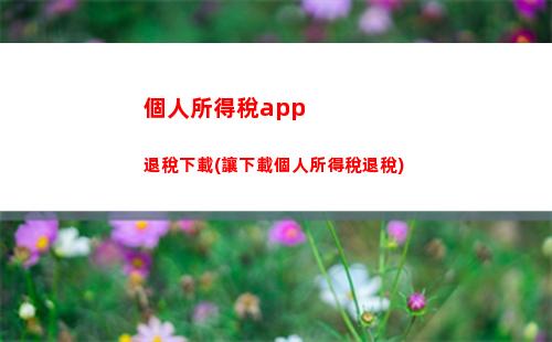 個人所得稅appV(個人所得稅App撤訴流程)