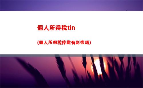 計提本月個人所得稅(計提本月個人所得稅會計分錄)