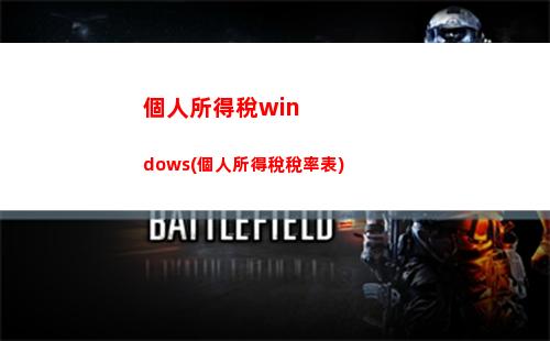 毛利個人所得稅(個人所得稅是毛利還是凈利)