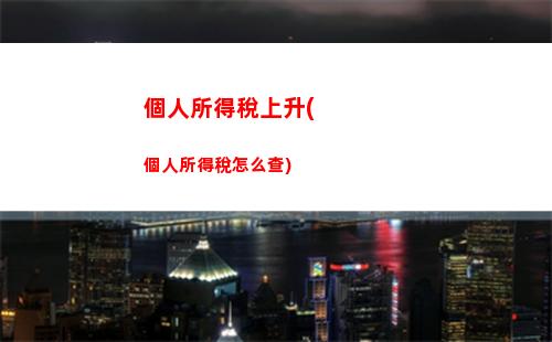 上海個人所得稅查詢系統(北京個人所得稅查詢系統)