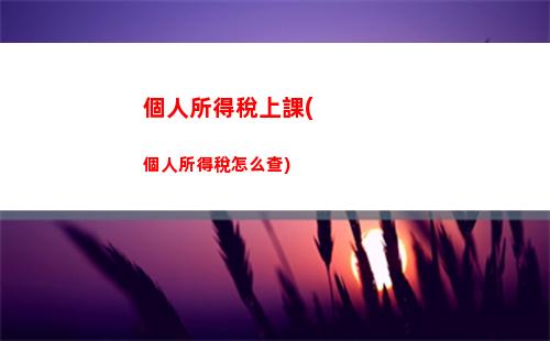 輕松查詢個稅，快速了解個人繳費記錄！
