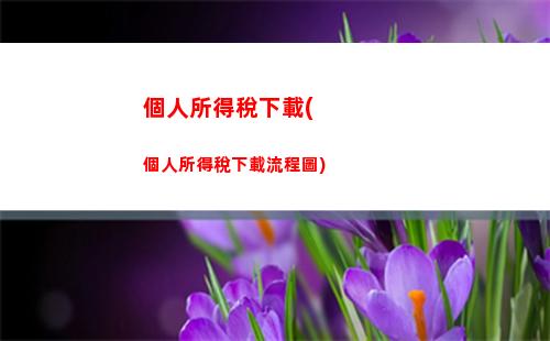 個人所得稅清繳匯算怎么做(個人所得稅清繳匯算流程)