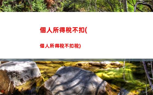 個人所得稅不含哪些所得(哪些所得需要交個人所得稅)
