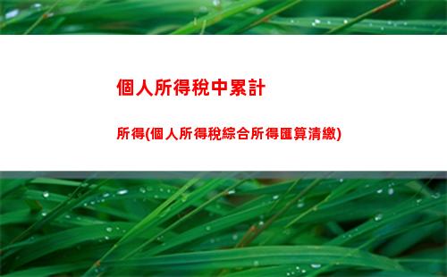 一鍵計算！輕松申報！個人所得稅年度收入匯總表
