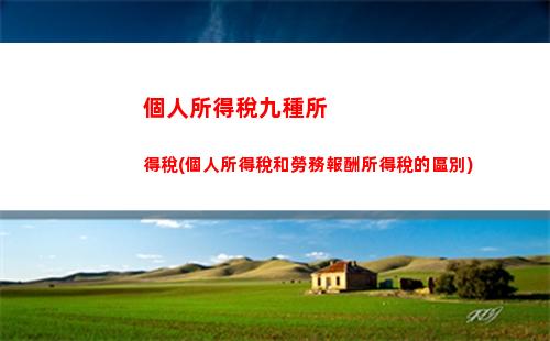 個人所得稅法語(個人所得稅法語怎么說)