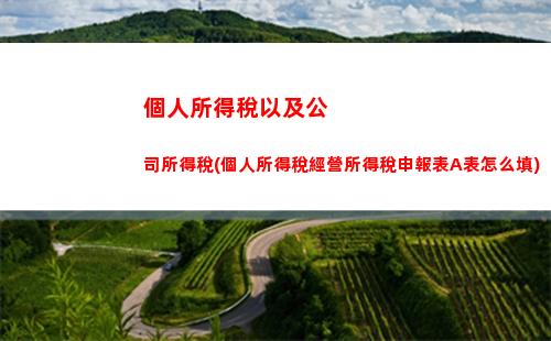 個人所得稅補繳流程(2022個人所得稅補繳流程)