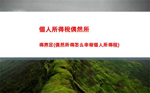 個人所得稅申論