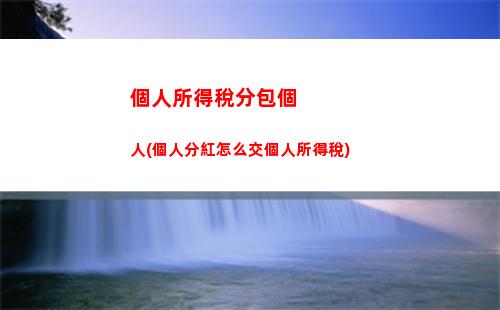 個人所得稅定義(個人所得稅定義的參考文獻是什么)