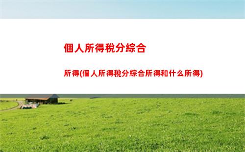 個人所得稅經營所得稅年報(個人所得稅經營所得稅年報截止日期)