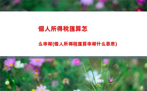 解密娛樂明星個稅：如何合理計算個人所得稅？（48字符）