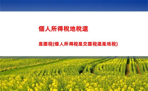 個人所得稅不免征個人所得(以下個人所得免征個人所得稅的是)