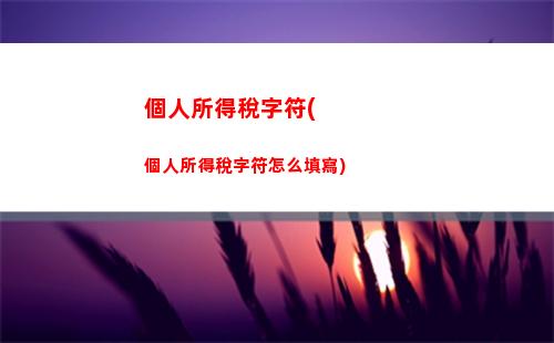 個人所得稅轉經營所得(個人所得稅經營所得核定征收)