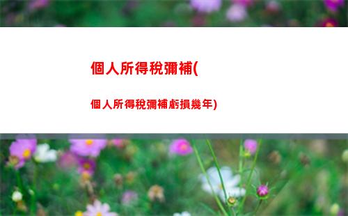 個人所得稅網(wǎng)上零申報(個人所得稅的申報步驟)