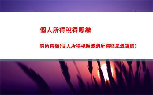 個人所得稅退稅申請書(個人所得稅退稅申請書怎么寫)