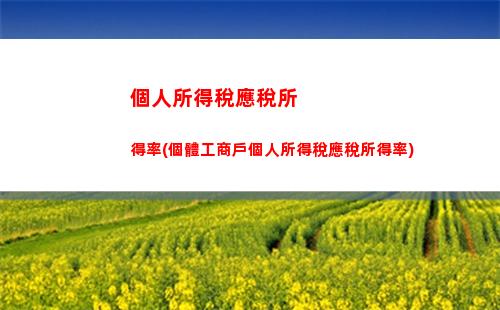 個人所得稅中綜合所得(個人所得稅中綜合所得的專項附加扣除項目都是據實扣除)