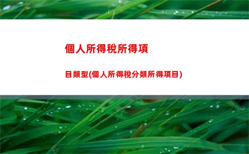 個人所得稅稅額(個人所得稅稅額怎么算)