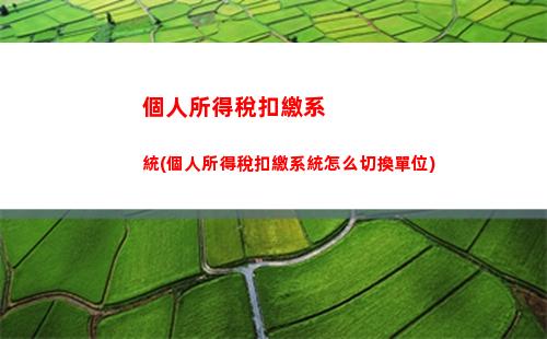 個人所得稅能補交嗎(個人所得稅補交不交會怎樣)