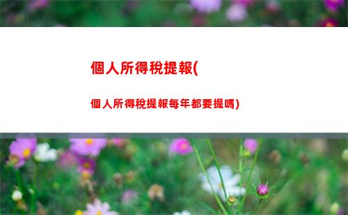 個人所得稅年度稅(個人所得稅年度稅率表)
