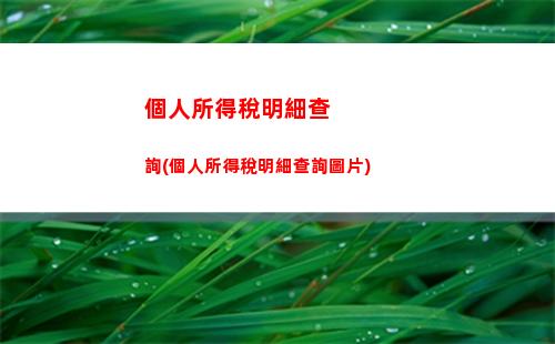 個人所得稅漏洞(支付寶個人所得稅怎么查)