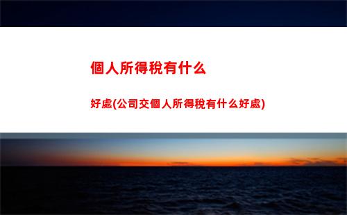 個人所得稅造句