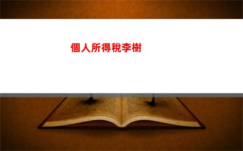 個人所得稅美金(app個人所得稅下載)